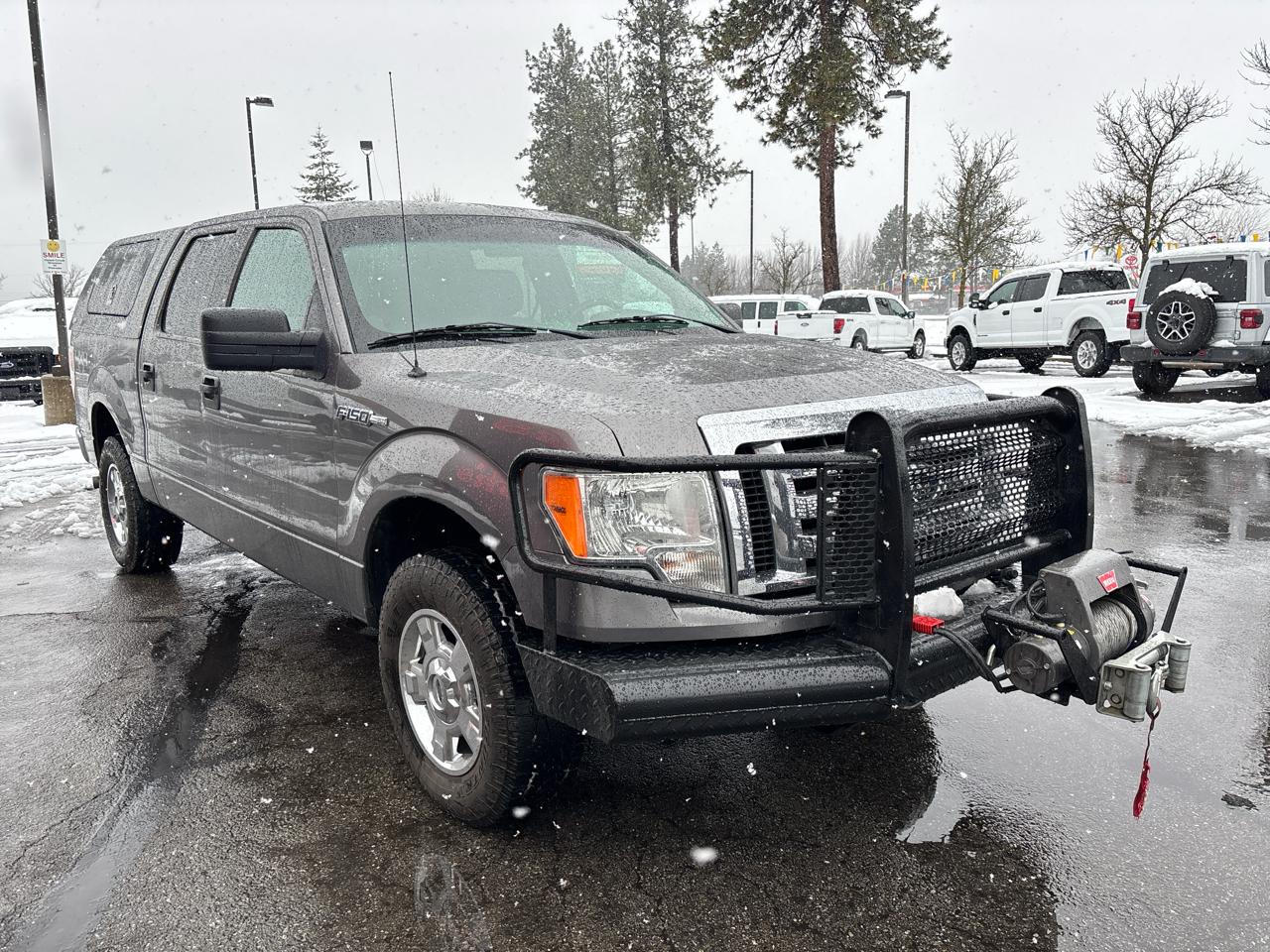 Ford F-150 4WD SuperCrew 145" XLT 2012