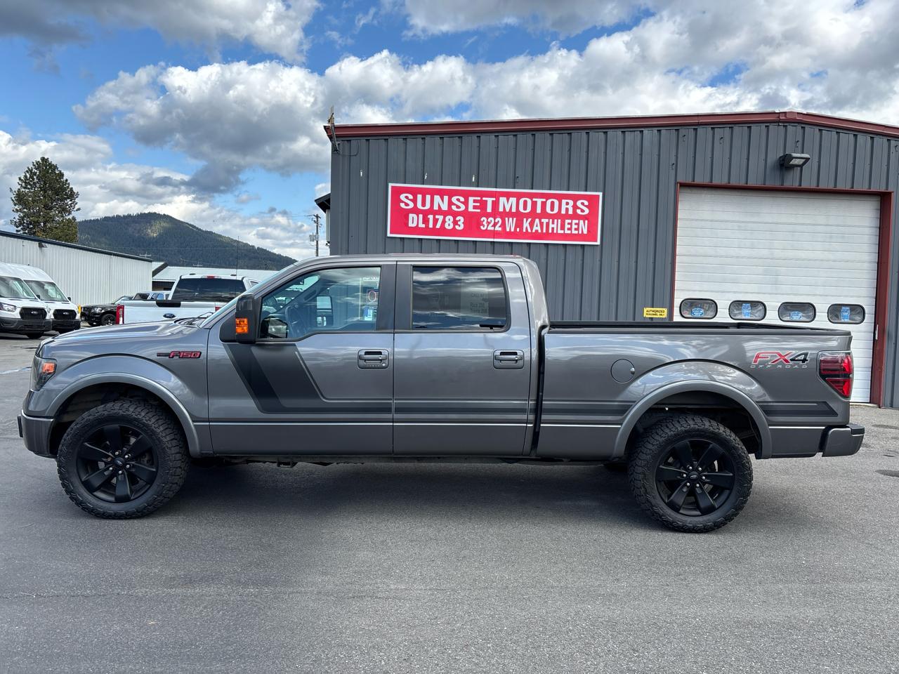 Ford F-150 4WD SuperCrew 145" FX4 2014