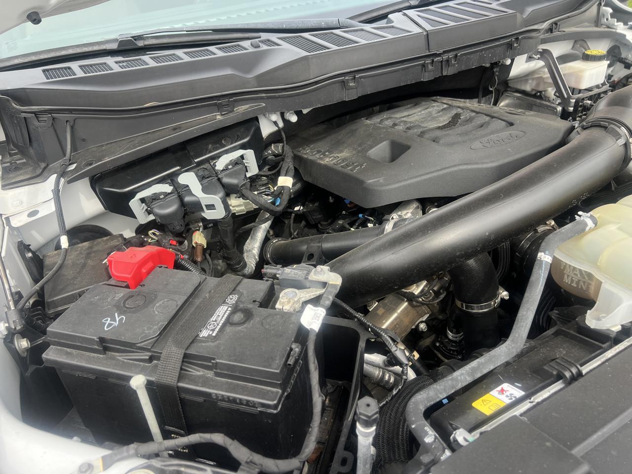 Ford F-150 4WD Reg Cab 141" XLT 2021
