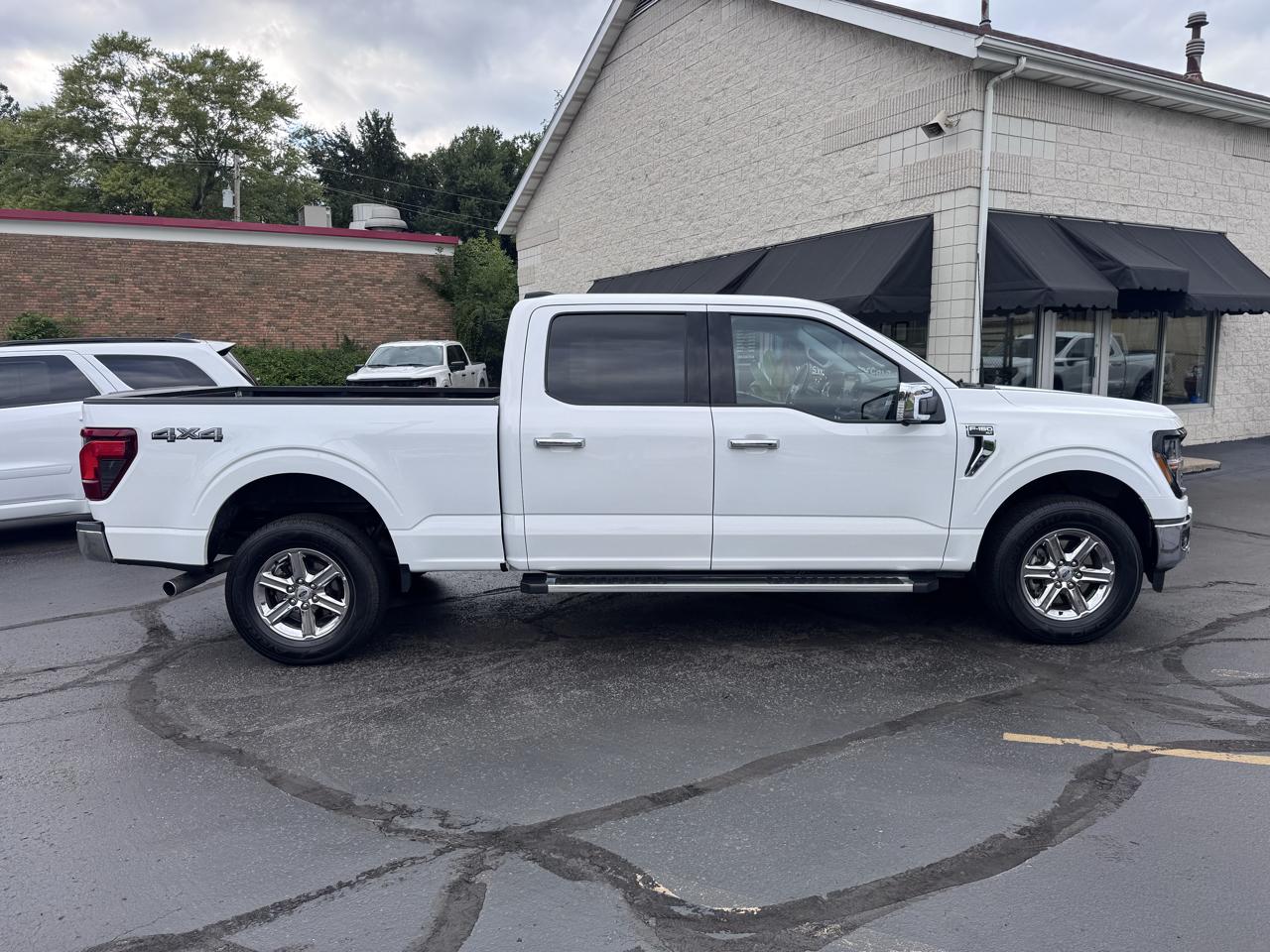 Ford F-150 XLT 4WD SuperCrew 6.5' Box 2024