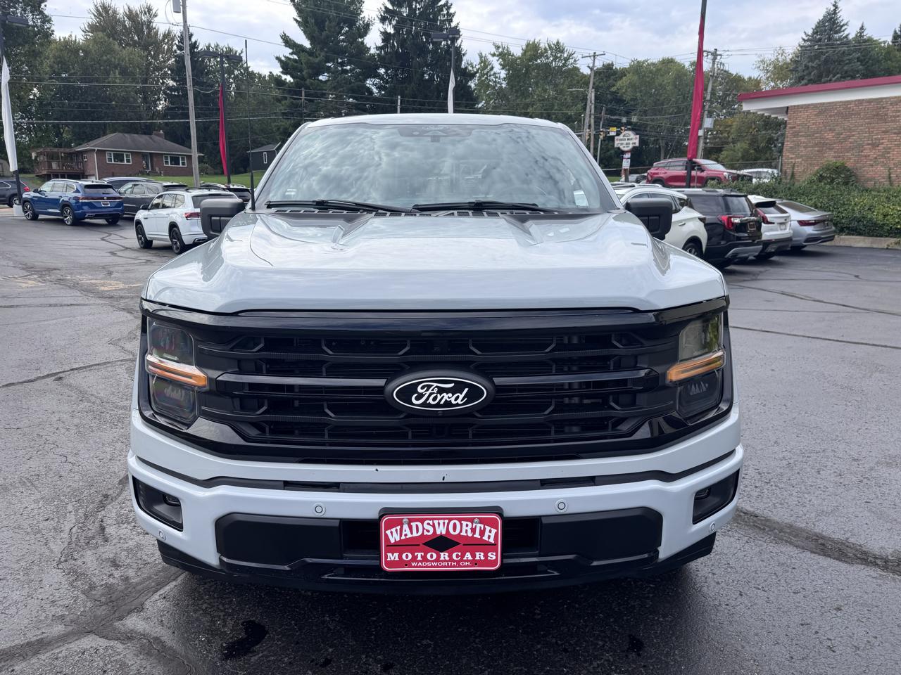 Ford F-150 XLT 2WD SuperCrew 5.5' Box 2024