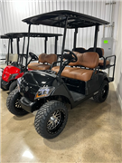2021 Yamaha Drive 2 EFI Gas 