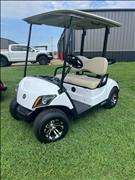 2022 Yamaha Drive 2 Electric 