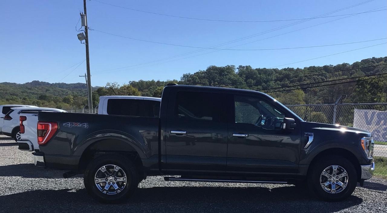 Ford F-150 XLT 4WD SuperCrew 5.5' Box 2021