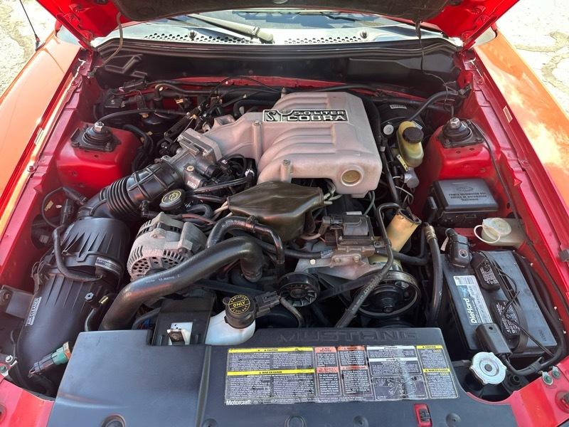 Ford Mustang Cobra Convertible 1994