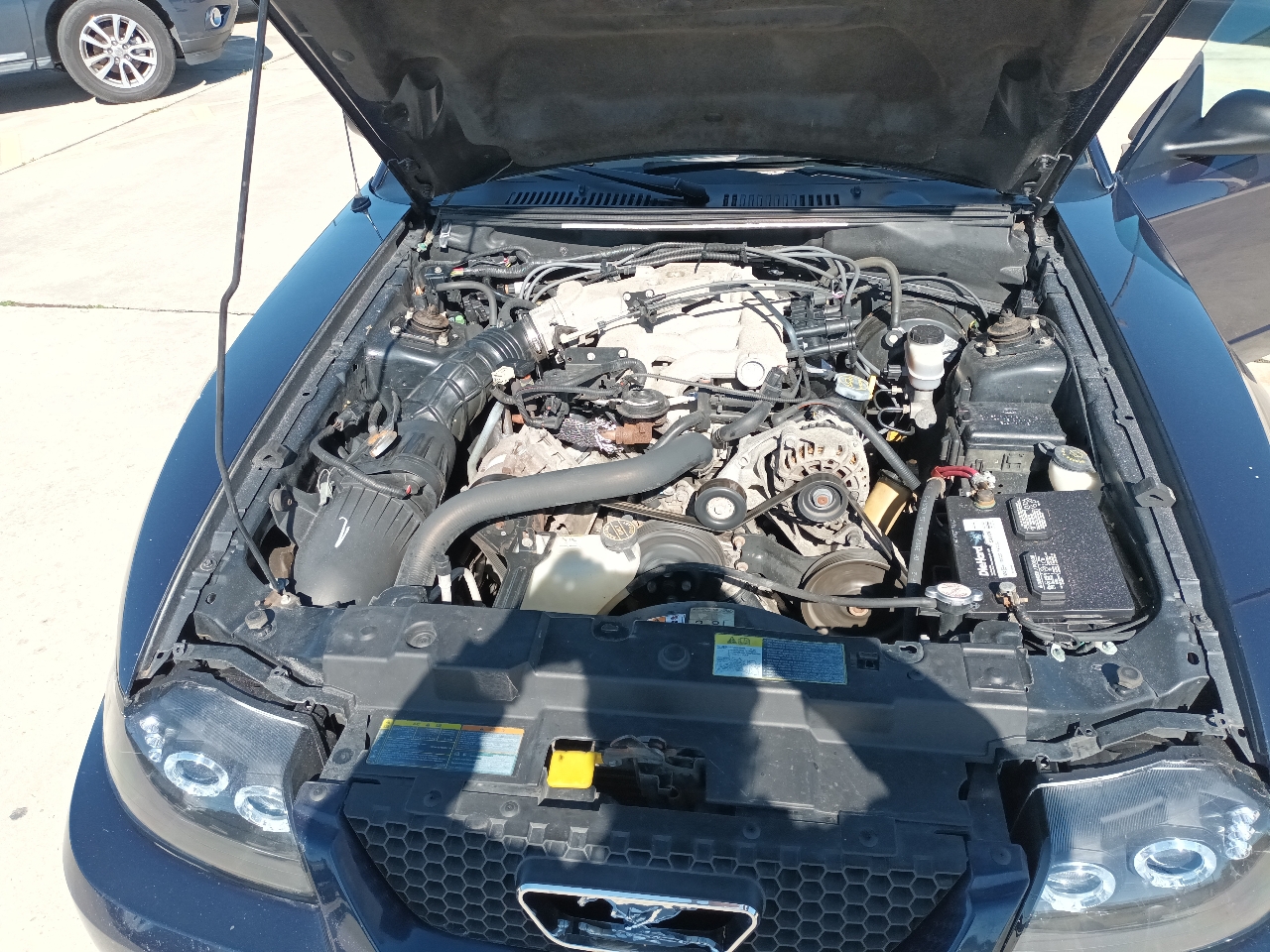 Ford Mustang Deluxe Convertible 2001