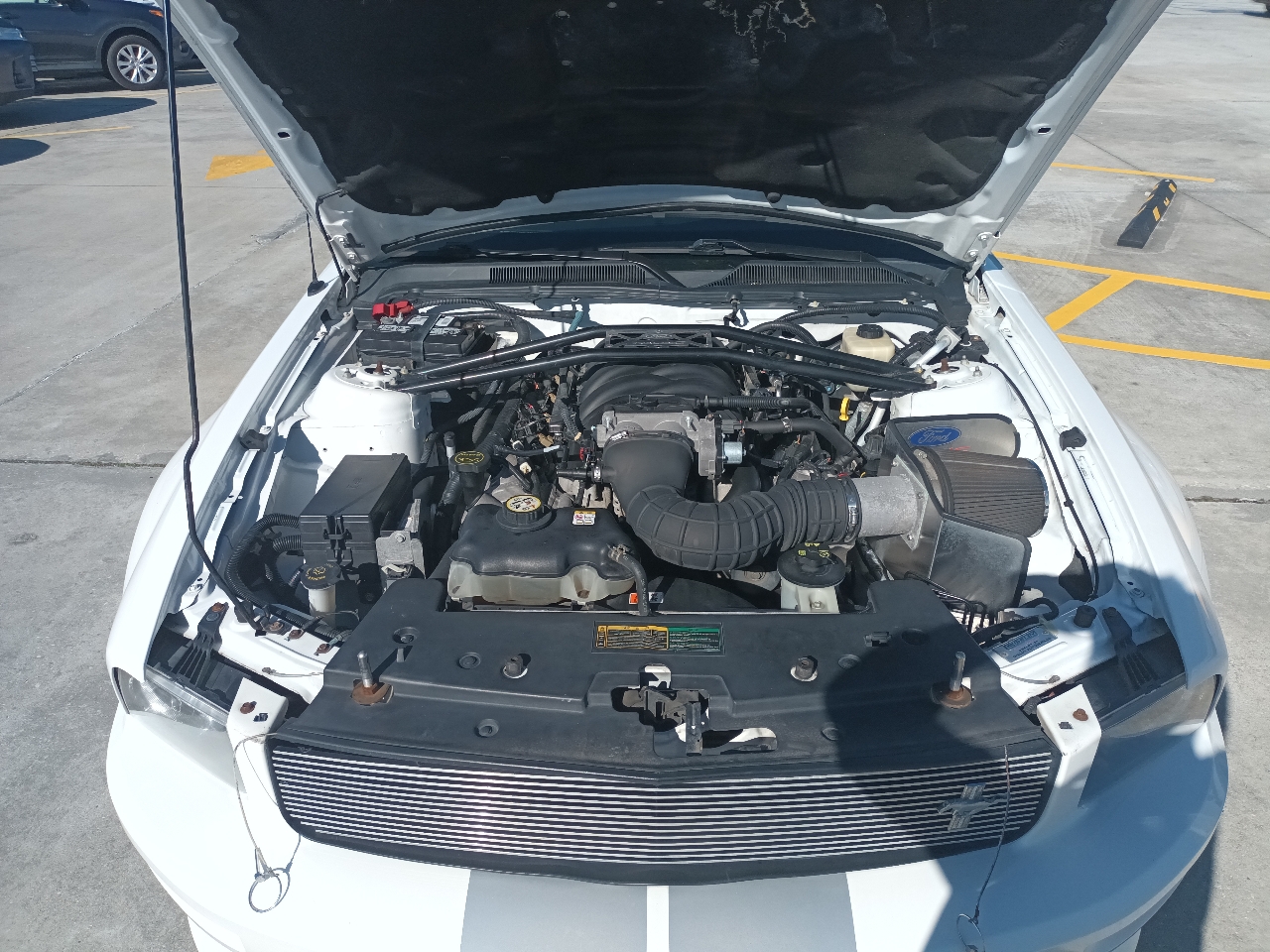 Ford Shelby GT350 Base 2007