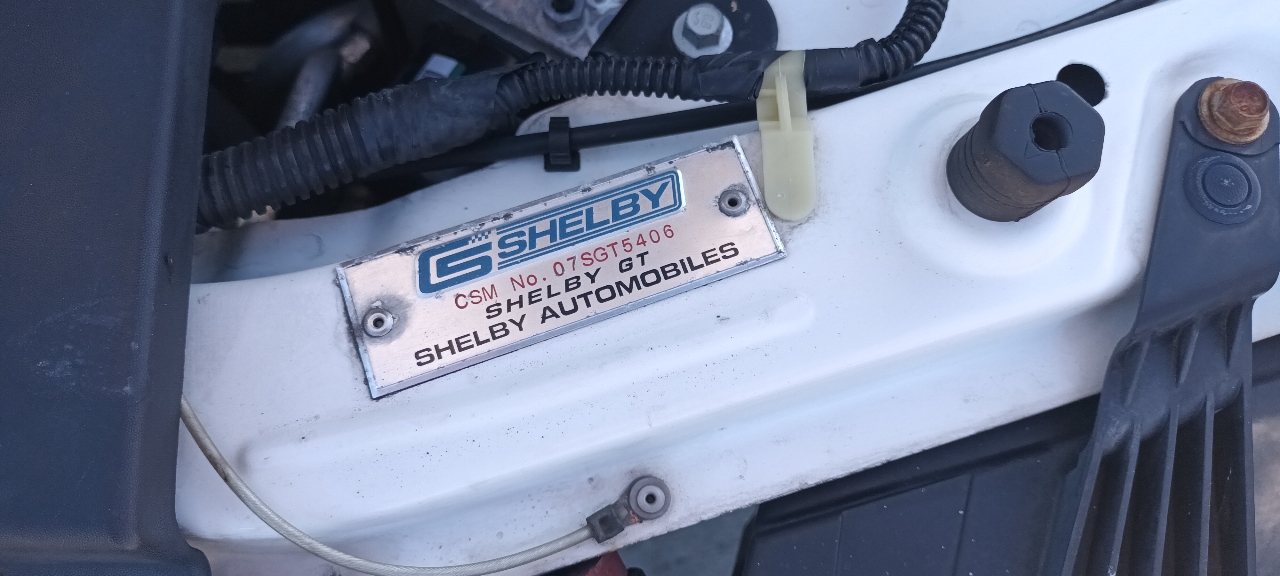 Ford Shelby GT350 Base 2007