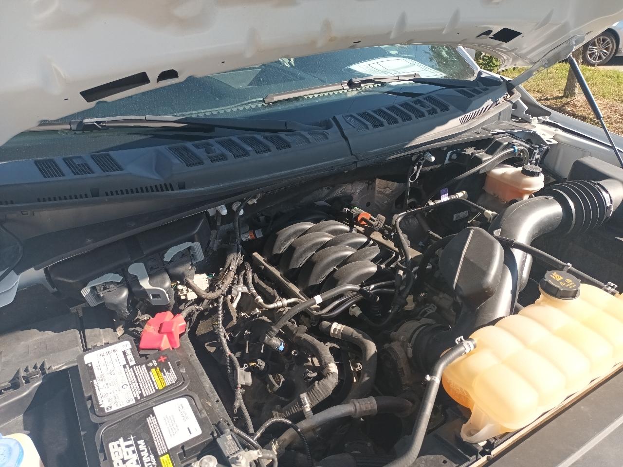 Ford F150 XL SuperCrew 5.5-ft. Bed 4WD 2019