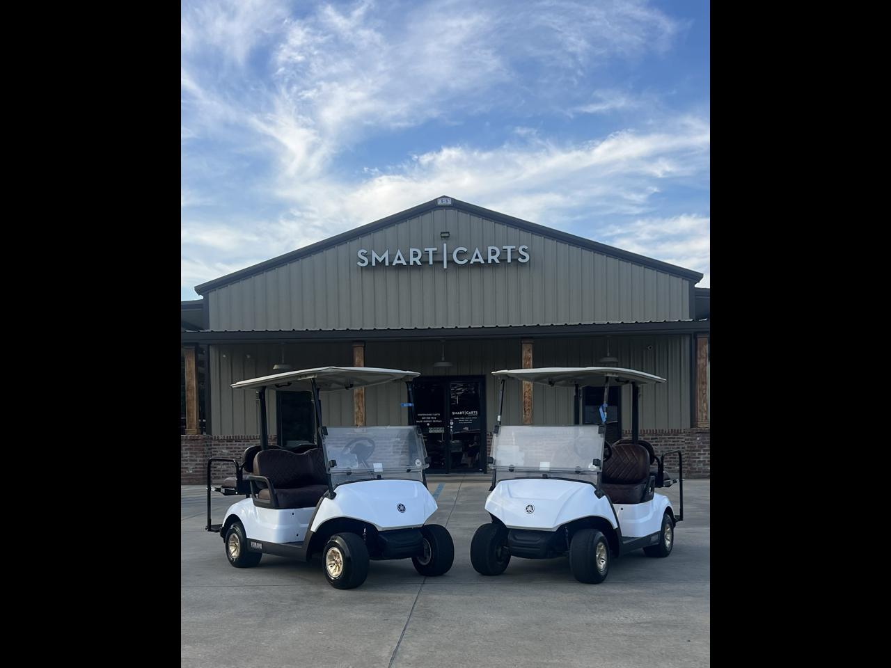 Yamaha Drive 2 Electric  2021