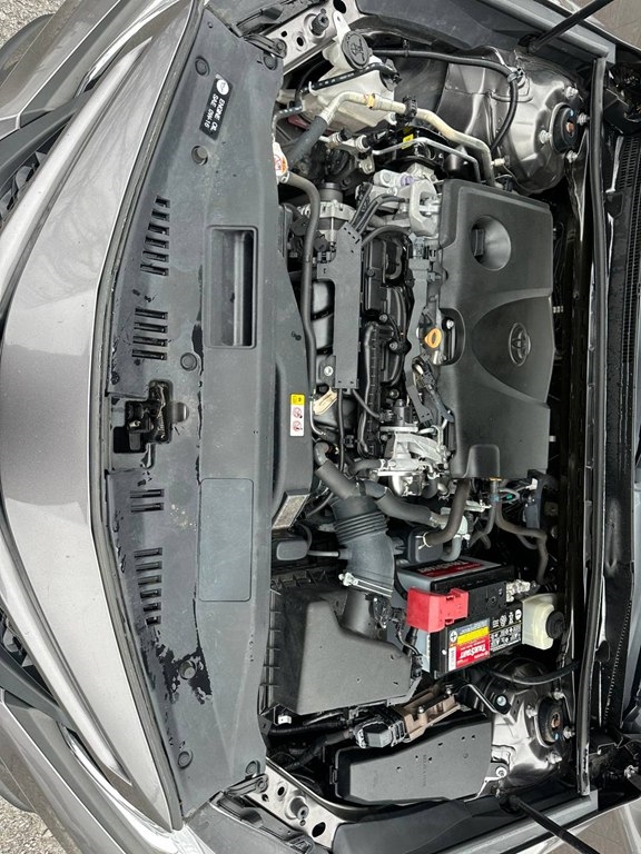 Toyota Camry SE Auto (Natl) 2020