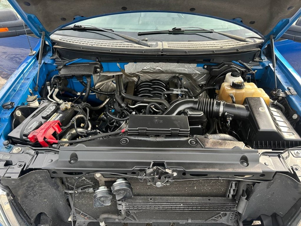 Ford F-150 4WD SuperCrew 145" Platinum 2011