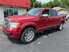 2010 Ford F-150 