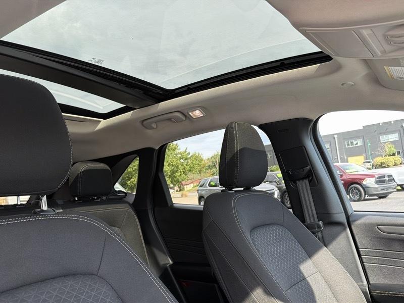 Ford Escape Active 2024