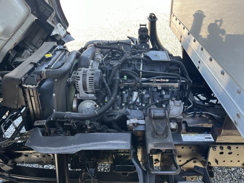 Isuzu NPR HD  2019