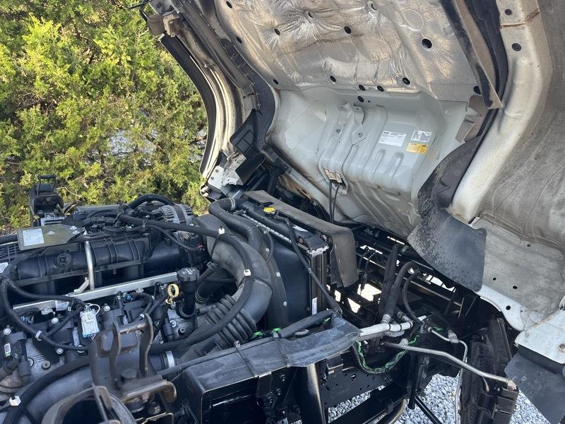 Isuzu NPR HD  2019
