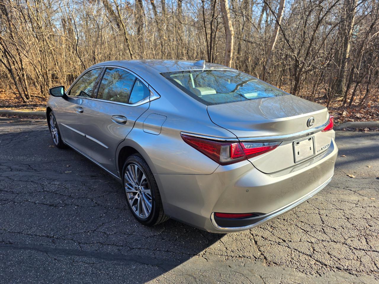 Lexus ES 250 Premium 2021
