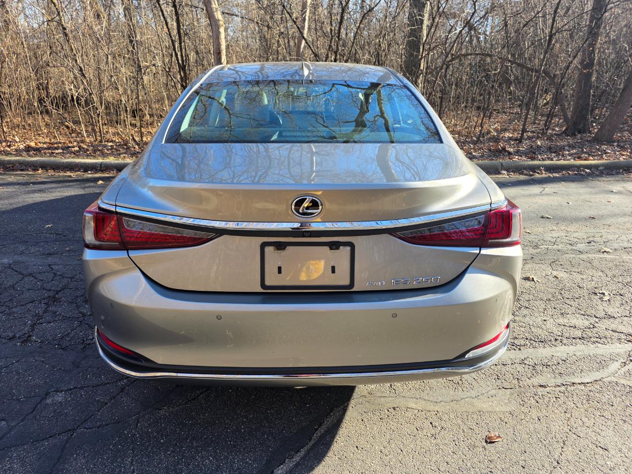 Lexus ES 250 Premium 2021