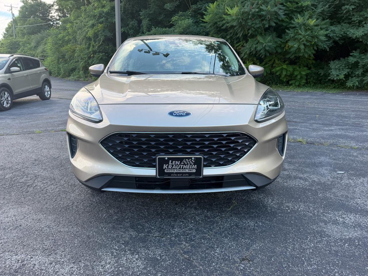 Ford Escape SE AWD 2020
