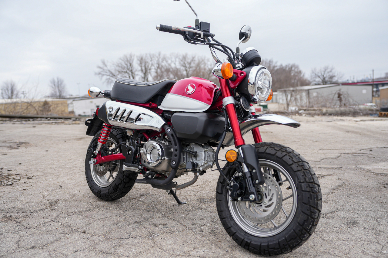 Honda Z125M (Monkey)  2019