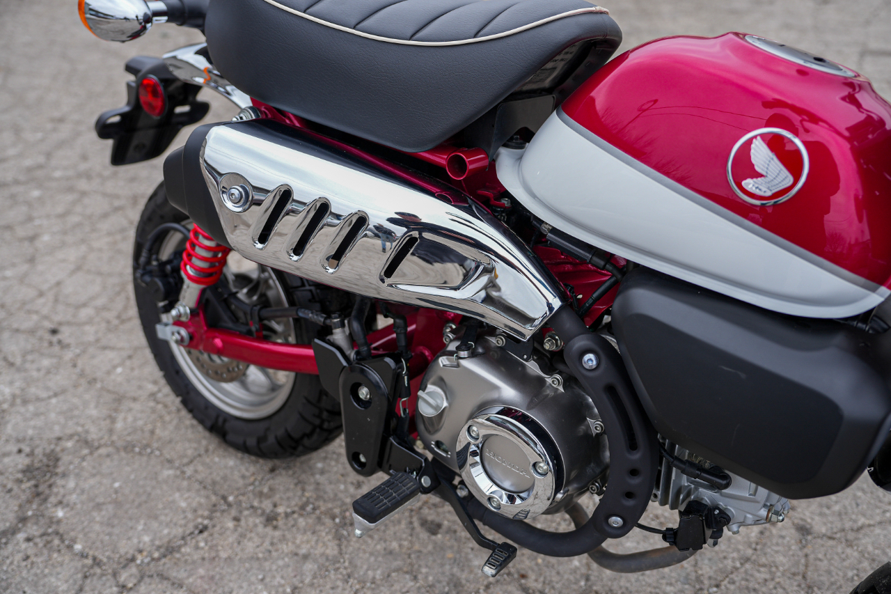 Honda Z125M (Monkey)  2019