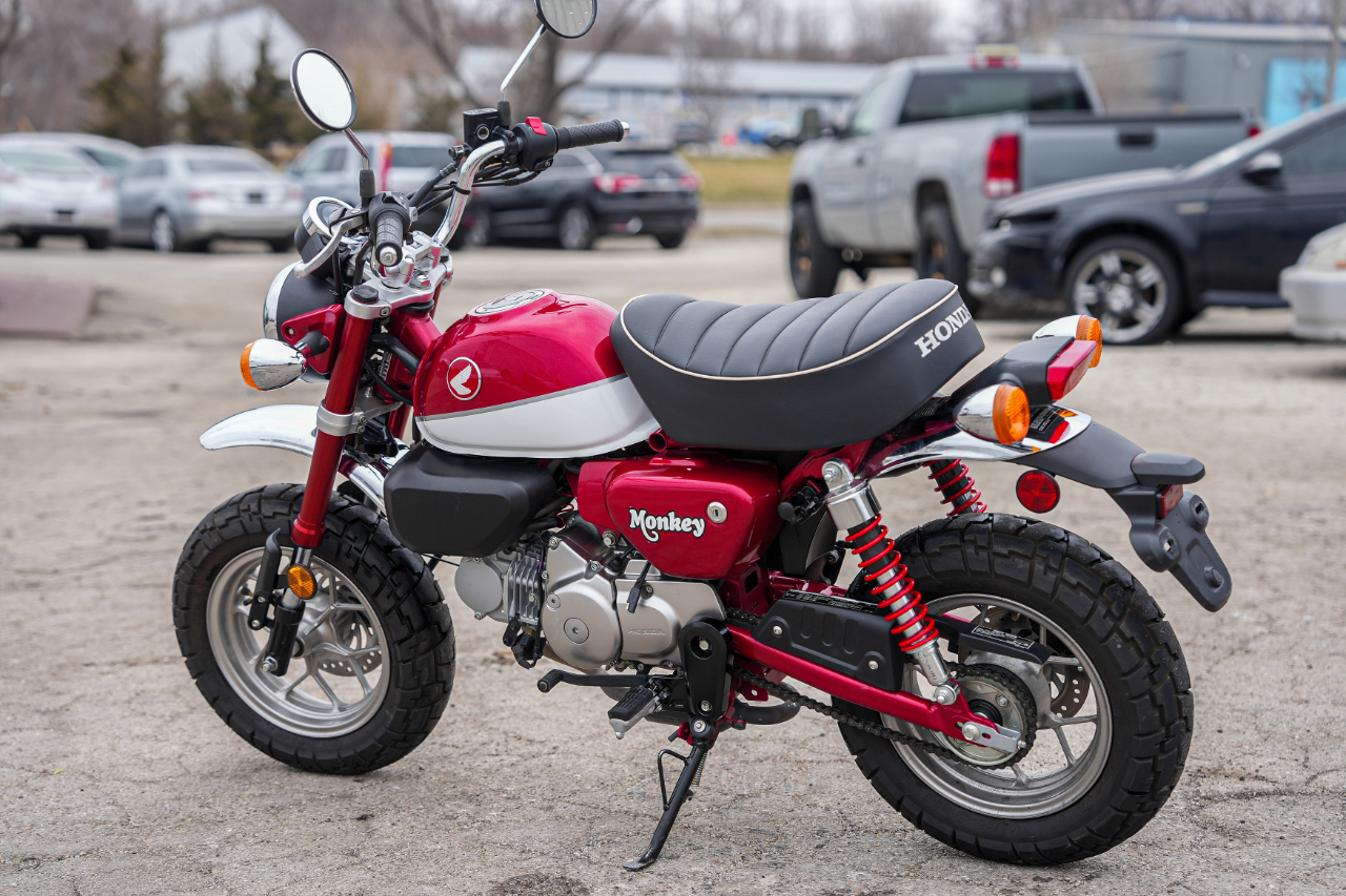 Honda Z125M (Monkey)  2019