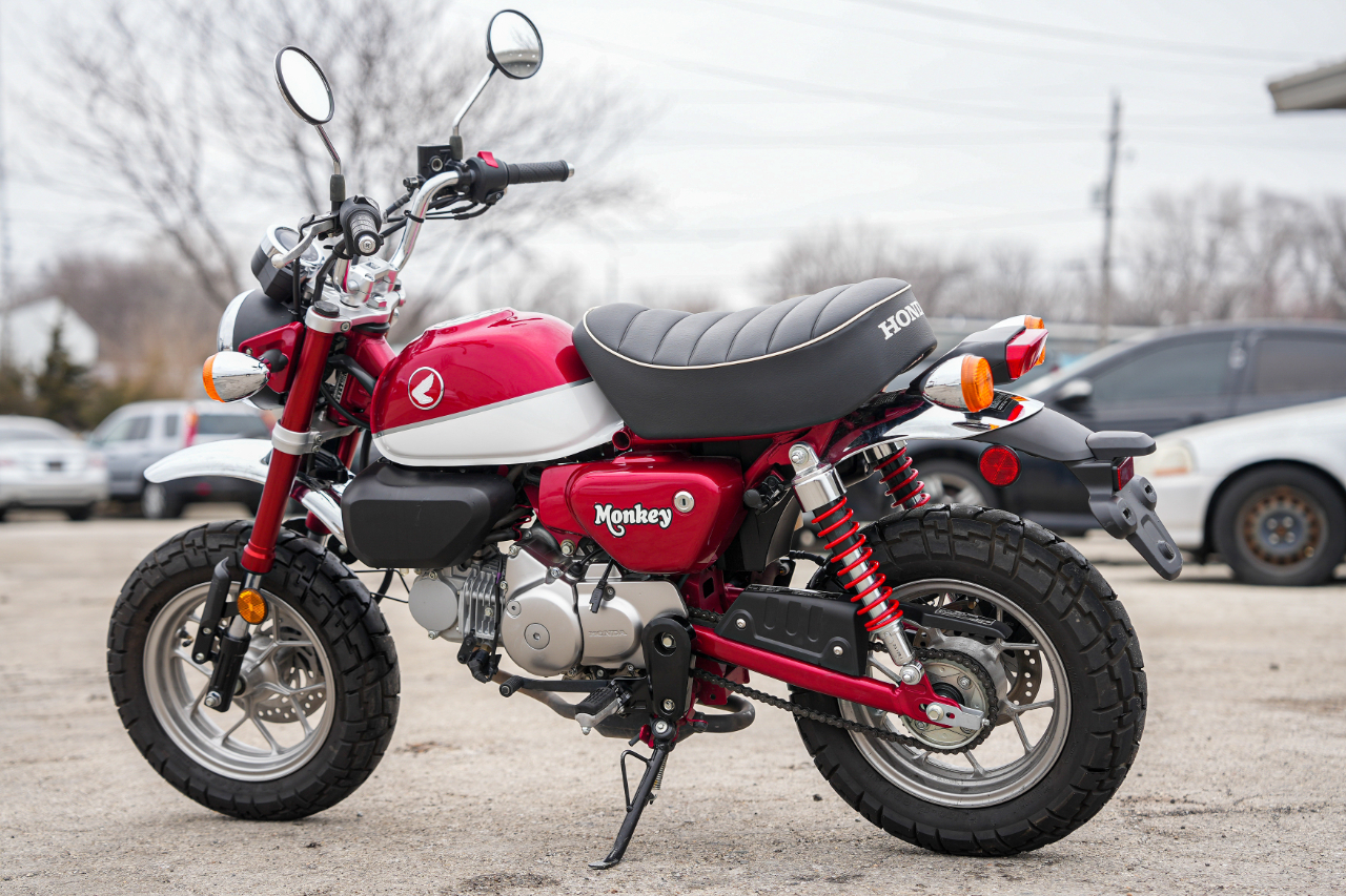 Honda Z125M (Monkey)  2019