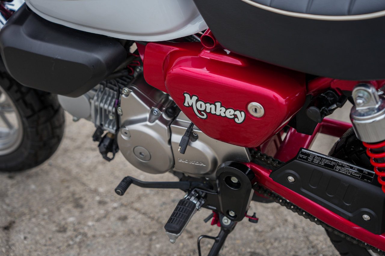 Honda Z125M (Monkey)  2019
