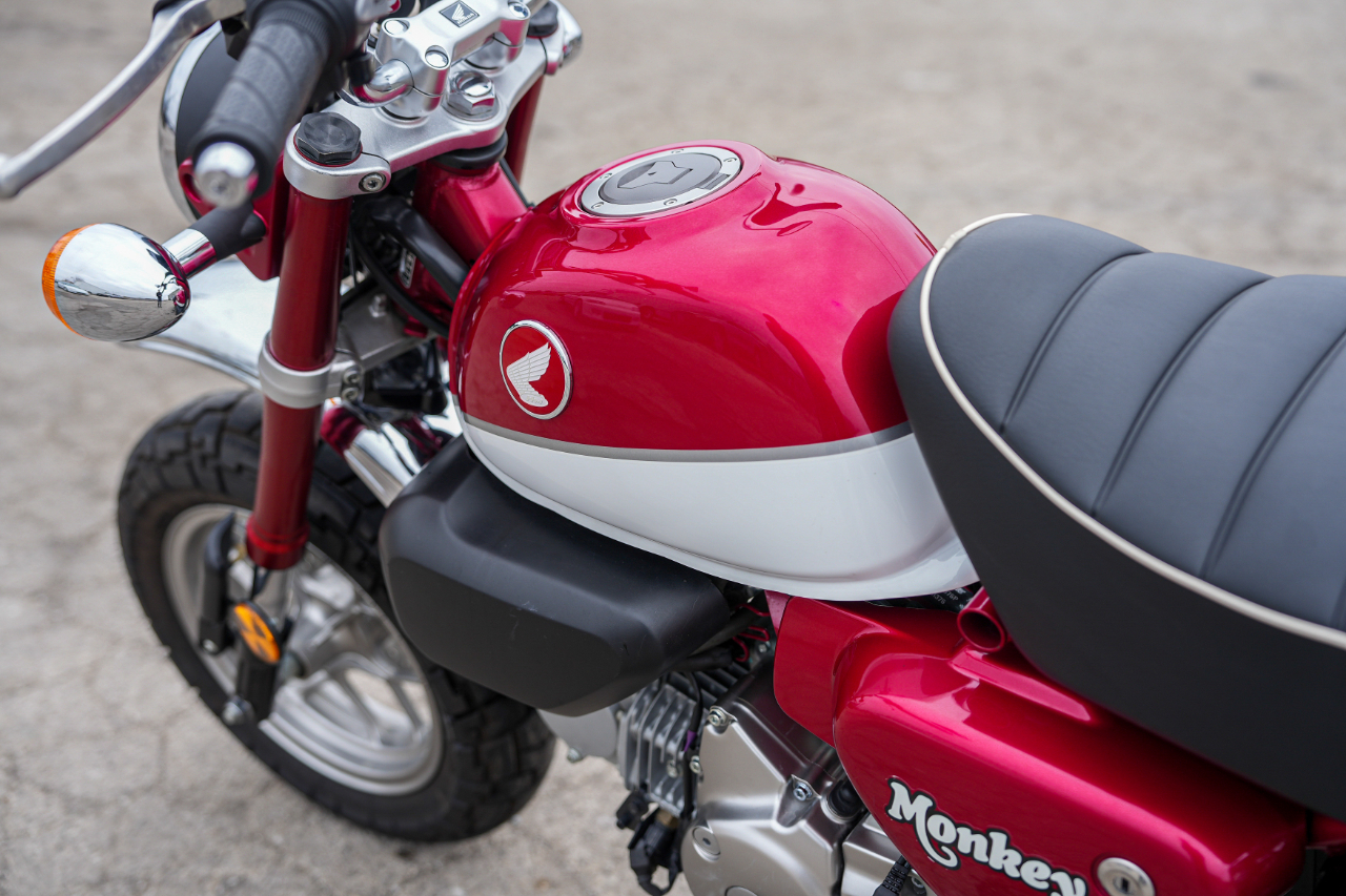Honda Z125M (Monkey)  2019