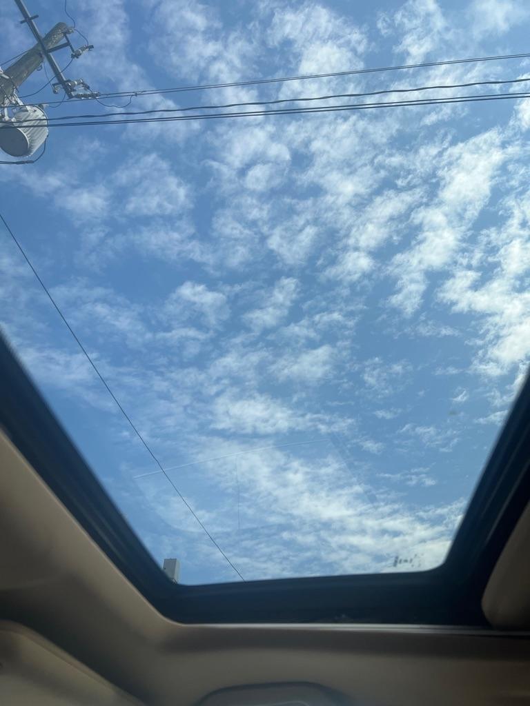 Honda Pilot 2WD 4dr EX-L w/Navi 2007