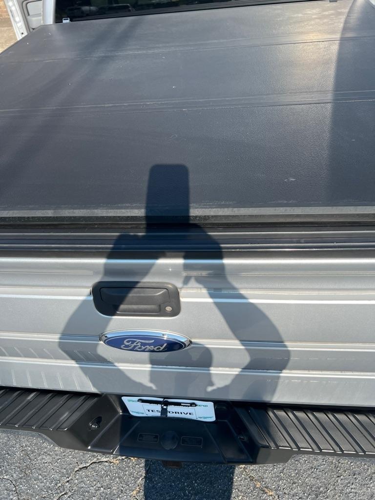 Ford F-150 2WD SuperCrew 145" Platinum 2013