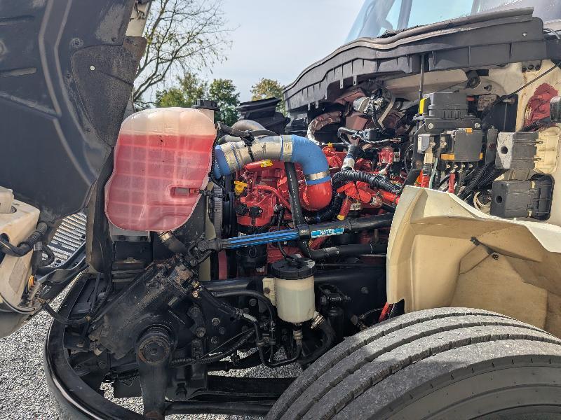 International 4300  2019