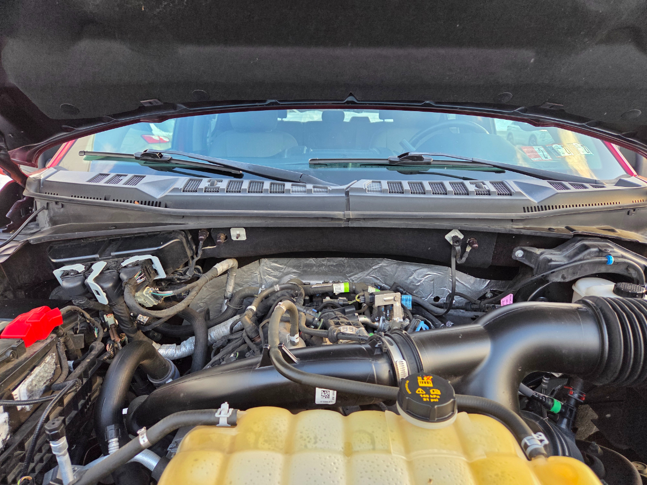 Ford F-150 XLT SuperCrew 5.5-ft. Bed 4WD 2019