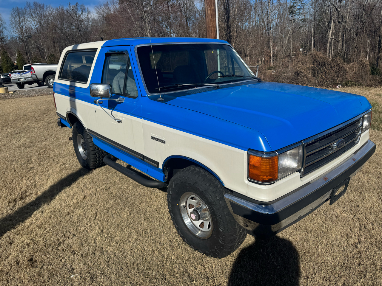 Ford Bronco Custom 1989