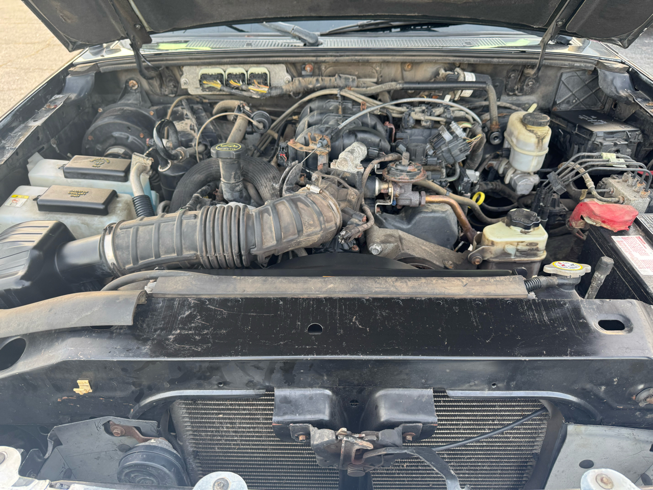 Ford Ranger 2dr Supercab 126" WB XLT 4WD 2011