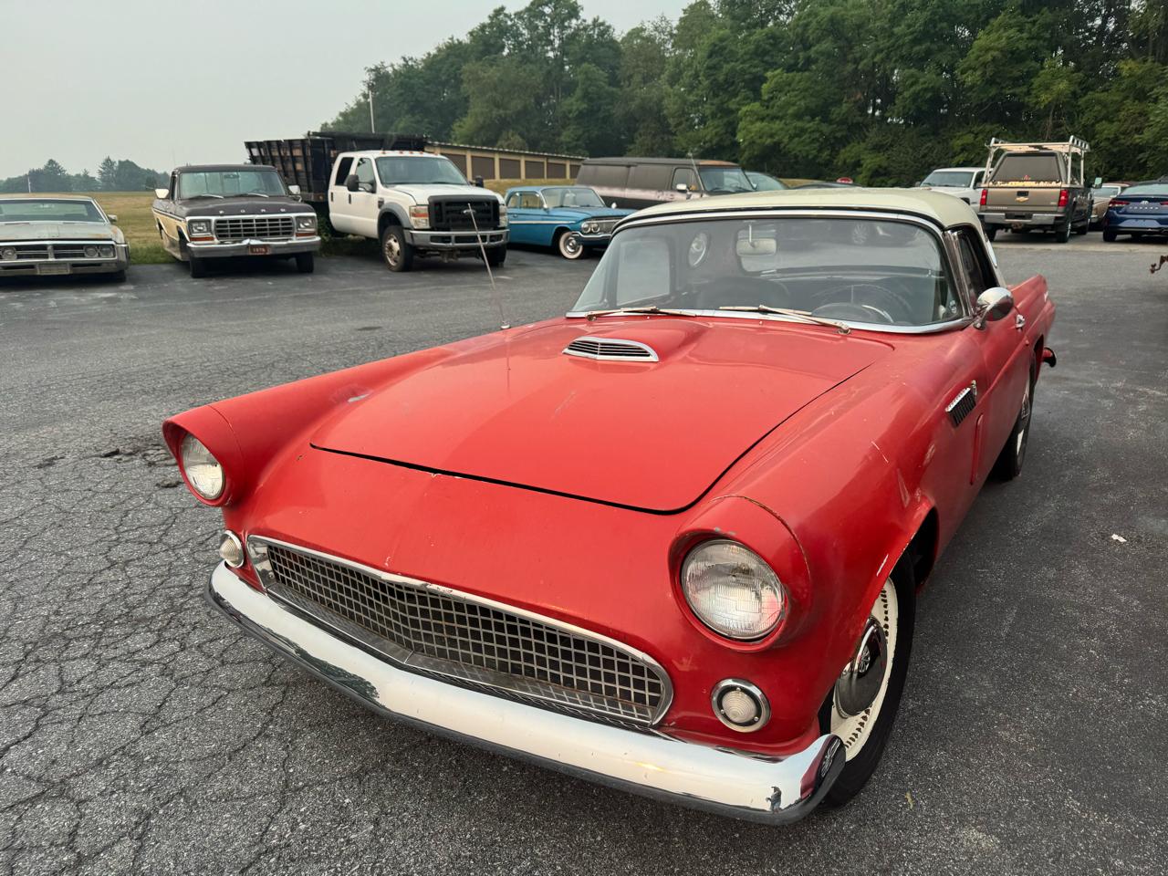 Ford Thunderbird  1956