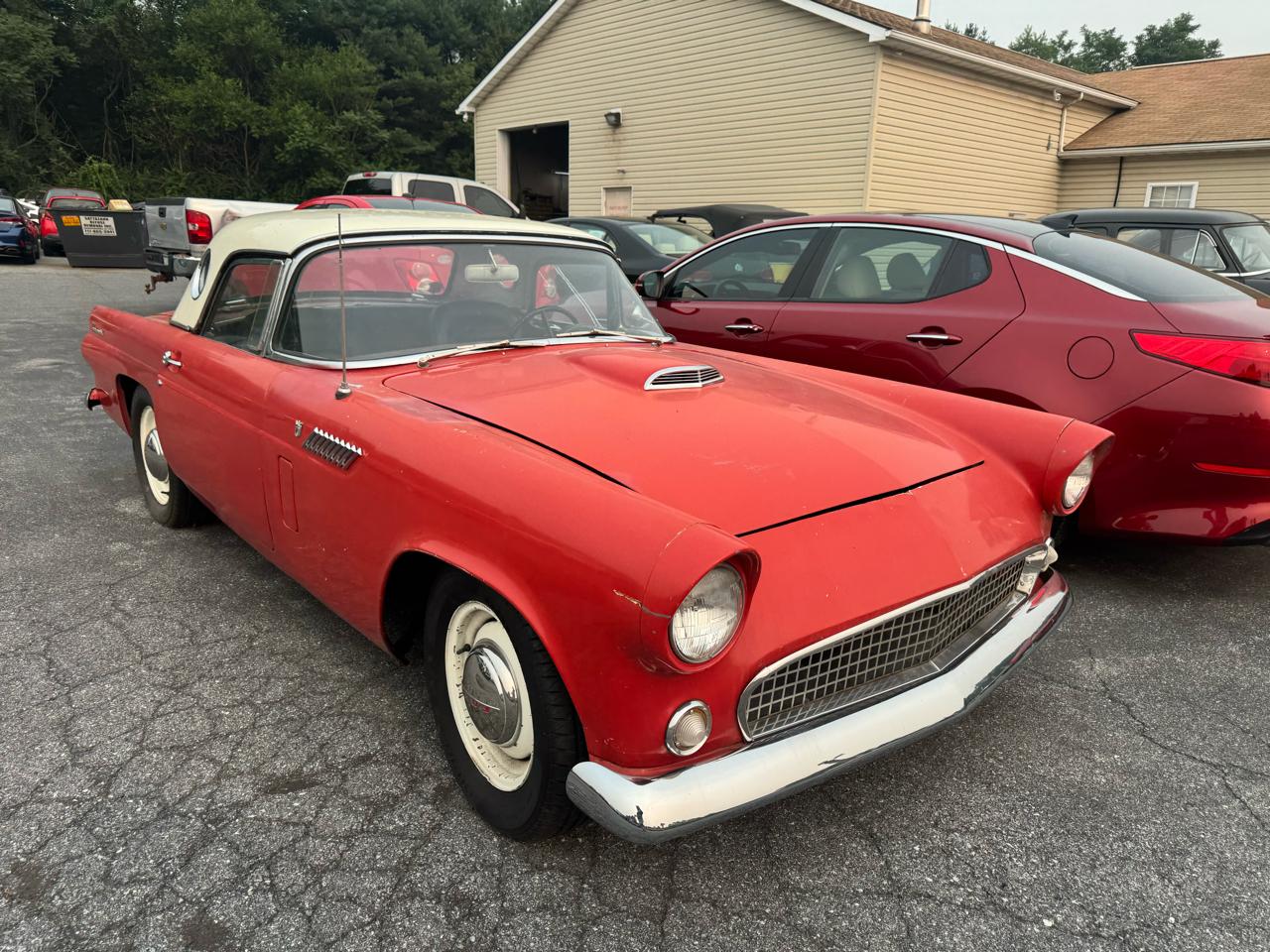 Ford Thunderbird  1956