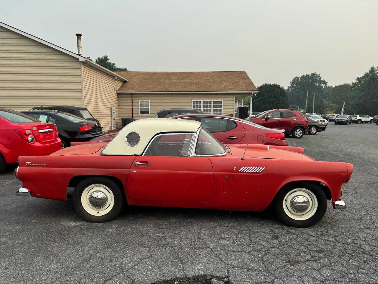 Ford Thunderbird  1956