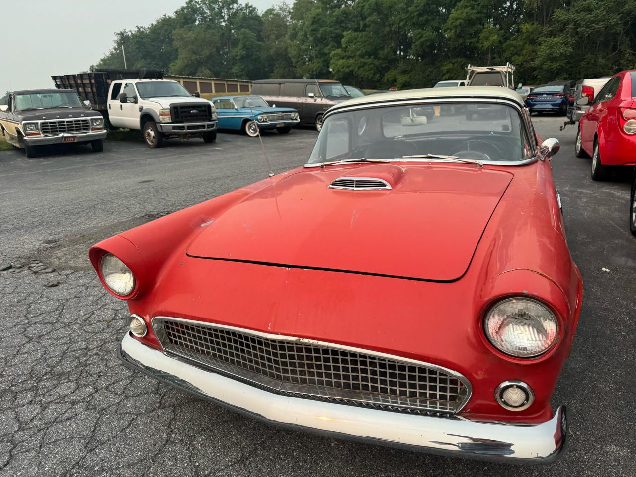 Ford Thunderbird  1956
