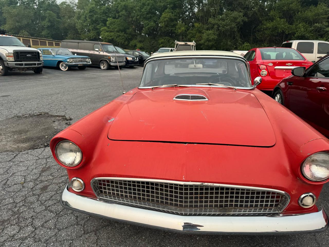 Ford Thunderbird  1956
