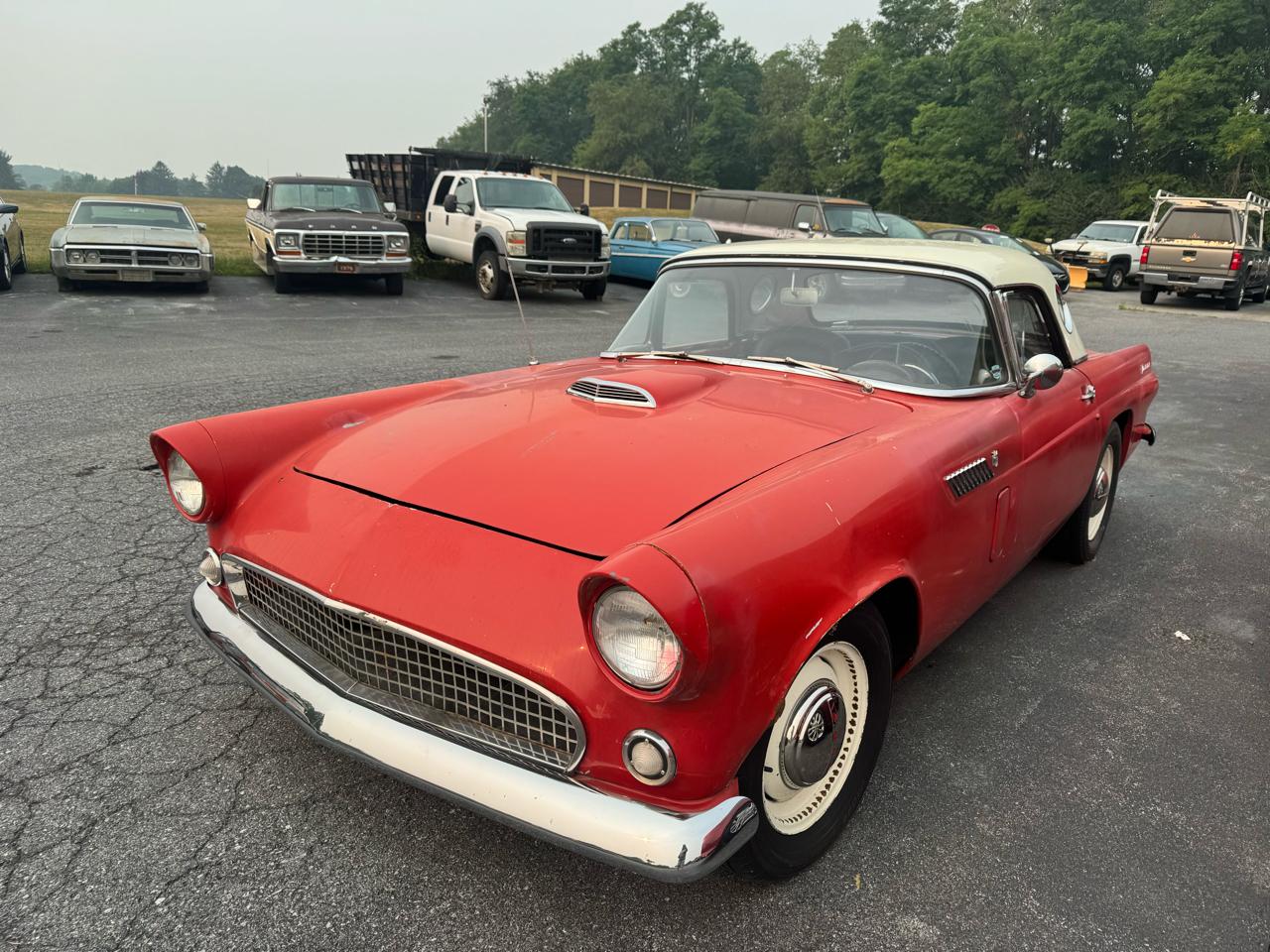 Ford Thunderbird  1956