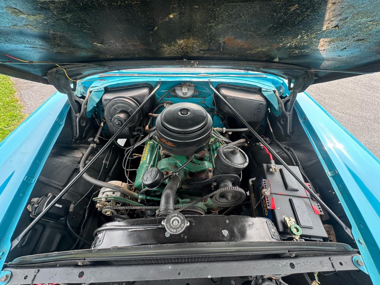 Oldsmobile 88  1954
