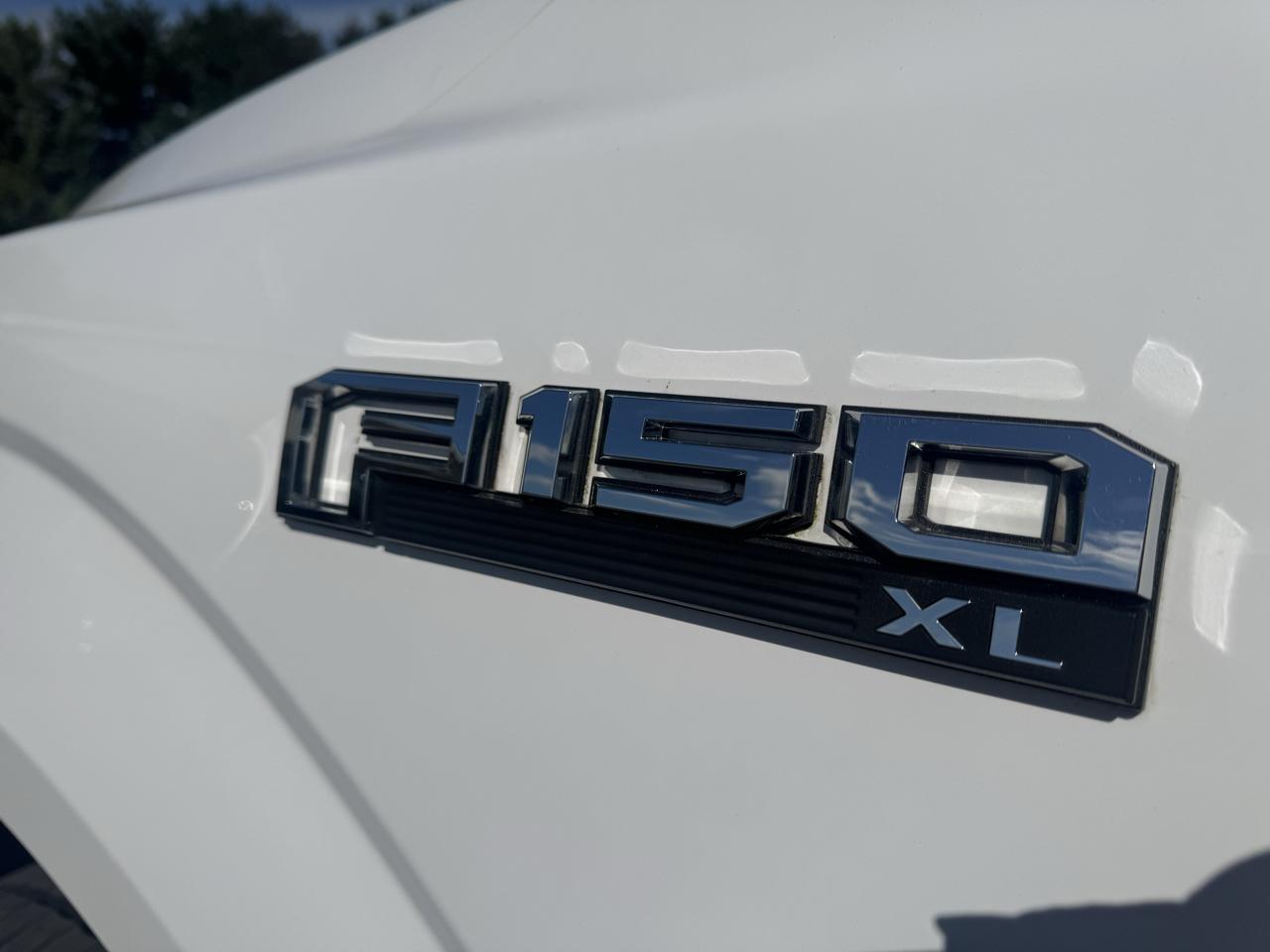 Ford F-150 XLT 4WD Reg Cab 8' Box 2020