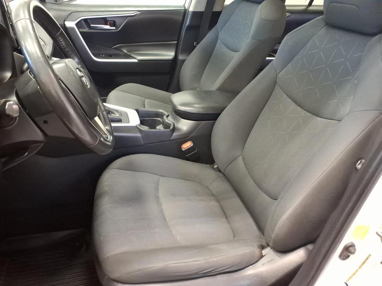 Toyota RAV4 XLE AWD (Natl) 2019