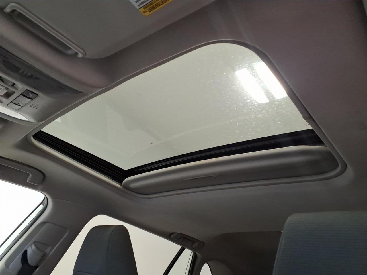 Toyota RAV4 XLE AWD (Natl) 2019