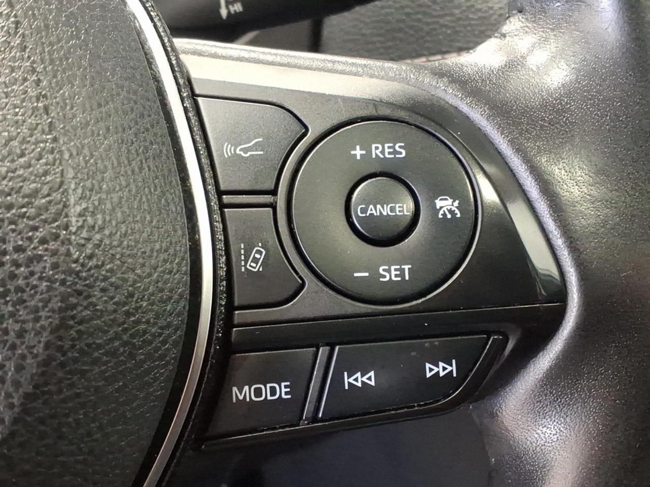 Toyota RAV4 XLE AWD (Natl) 2019