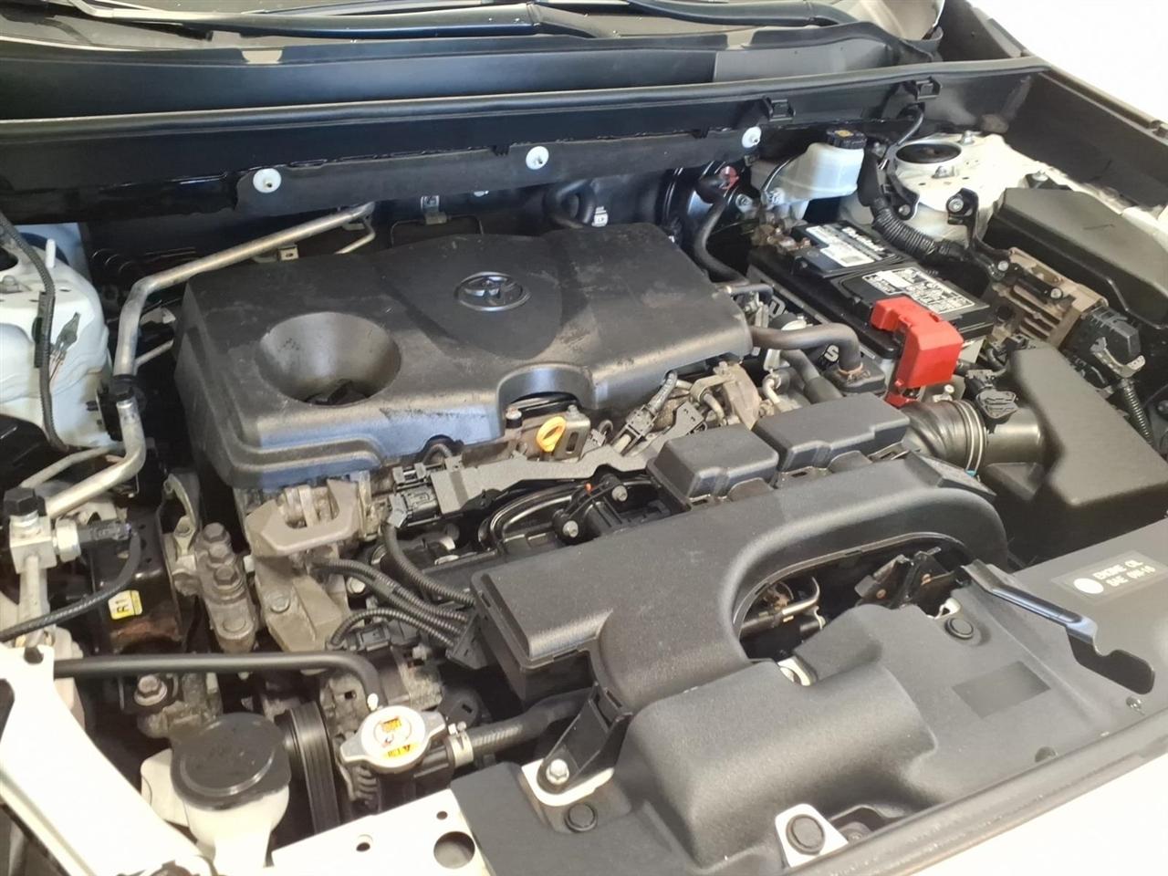 Toyota RAV4 XLE AWD (Natl) 2019