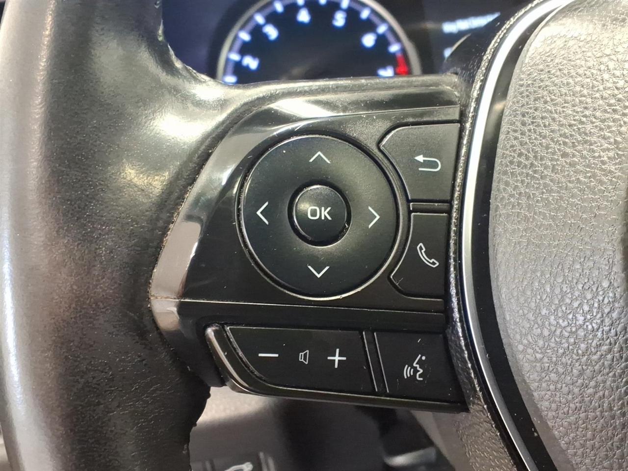 Toyota RAV4 XLE AWD (Natl) 2019