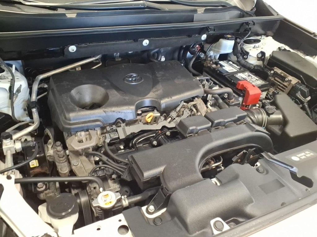 Toyota RAV4 XLE AWD (Natl) 2019