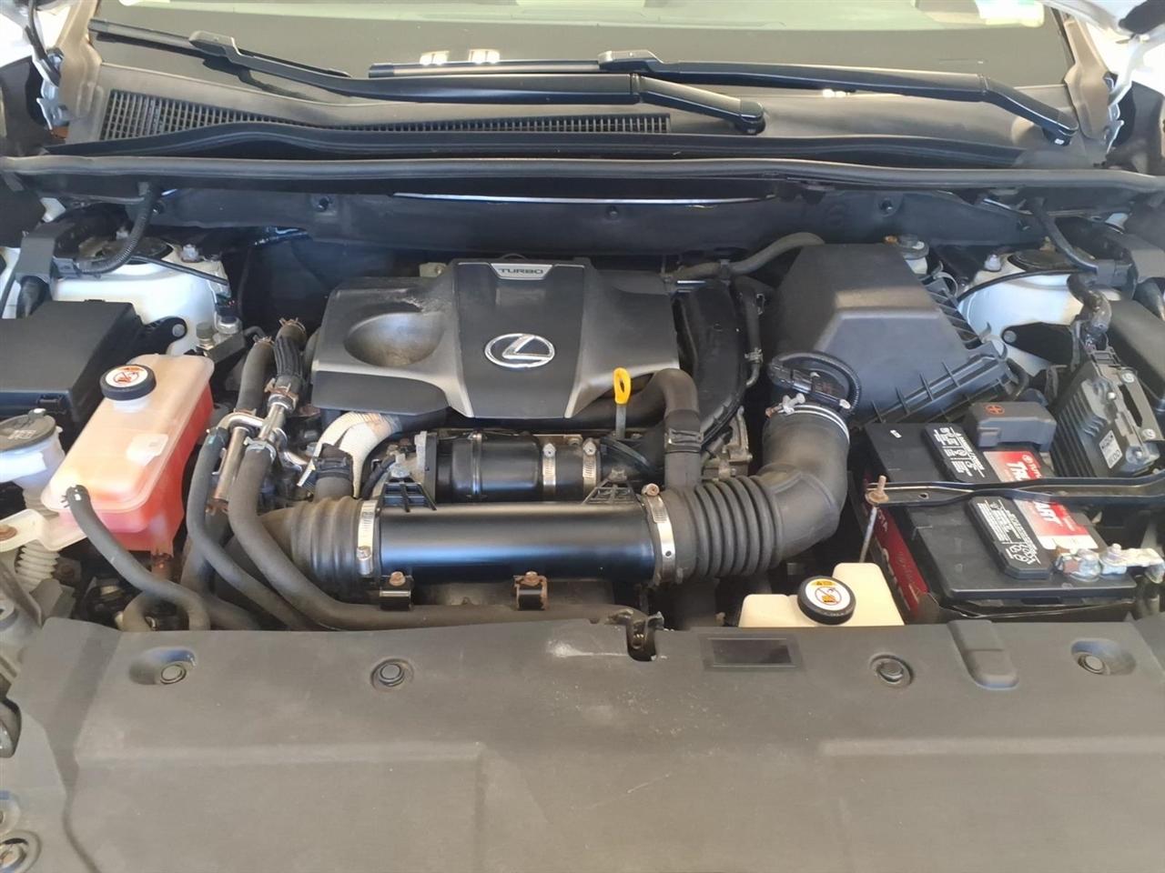 Lexus NX NX 300 AWD 2019